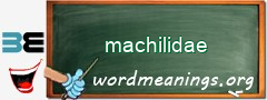 WordMeaning blackboard for machilidae